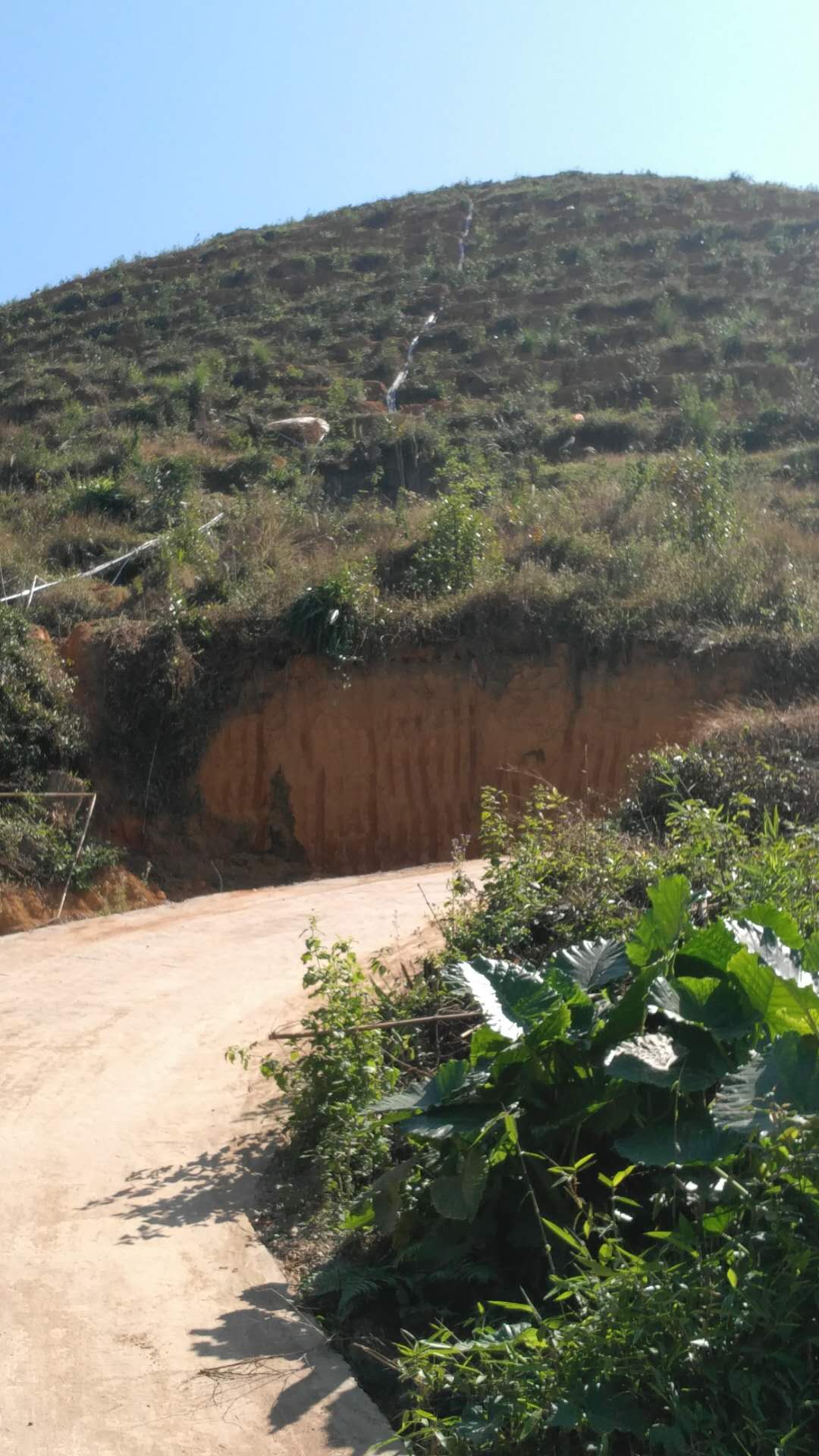 广西北流 油茶种植基地水肥一体化工程